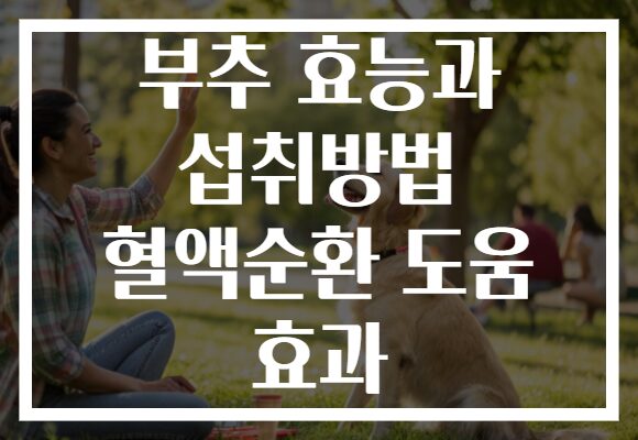 부추 효능과 섭취방법 혈액순환 도움 효과