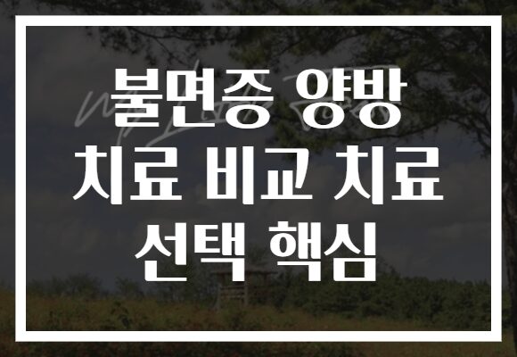 불면증 양방 치료 비교 치료 선택 핵심