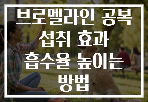 브로멜라인 공복 섭취 효과 흡수율 높이는 방법