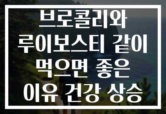 브로콜리와 루이보스티 같이 먹으면 좋은 이유 건강 상승