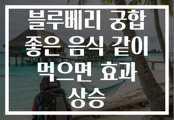 블루베리 궁합 좋은 음식 같이 먹으면 효과 상승
