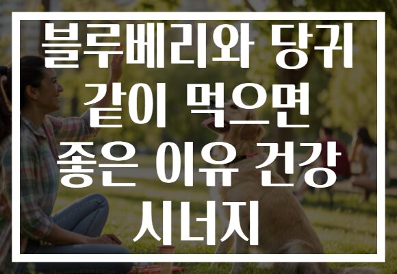 블루베리와 당귀 같이 먹으면 좋은 이유 건강 시너지