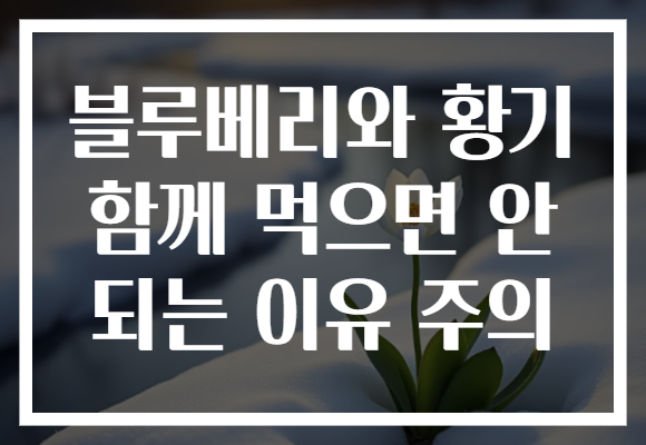 블루베리와 황기 함께 먹으면 안 되는 이유 주의
