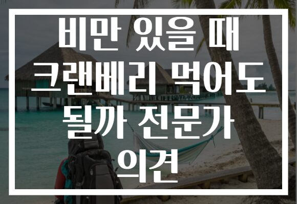 비만 있을 때 크랜베리 먹어도 될까 전문가 의견