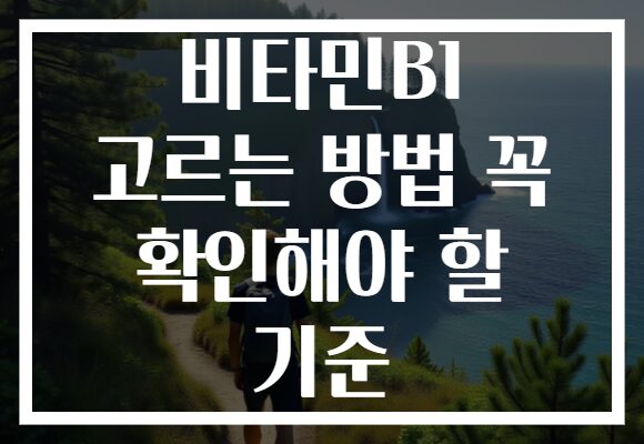 비타민B1 고르는 방법 꼭 확인해야 할 기준