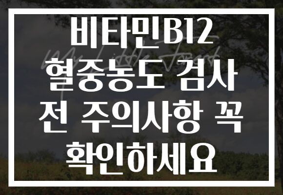 비타민B12 혈중농도 검사 전 주의사항 꼭 확인하세요