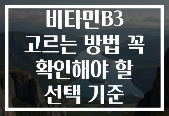 비타민B3 고르는 방법 꼭 확인해야 할 선택 기준