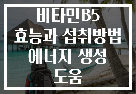 비타민B5 효능과 섭취방법 에너지 생성 도움