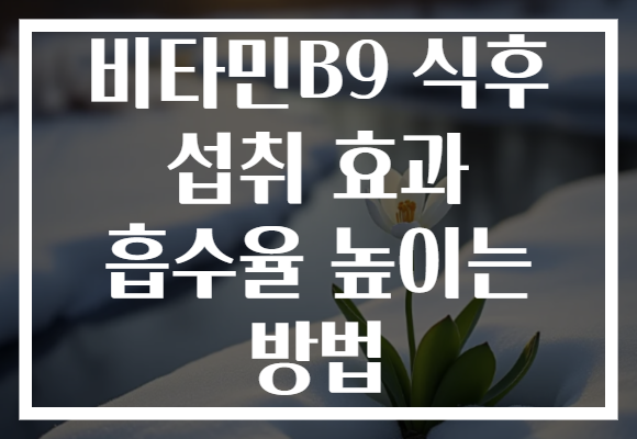 비타민B9 식후 섭취 효과 흡수율 높이는 방법