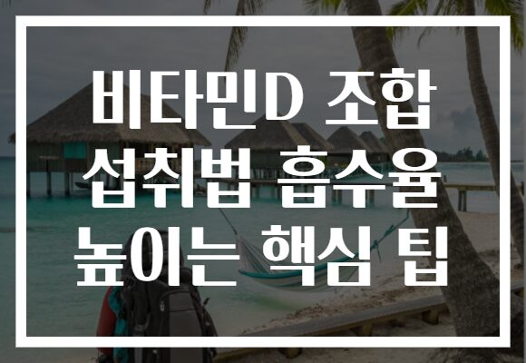 비타민D 조합 섭취법 흡수율 높이는 핵심 팁