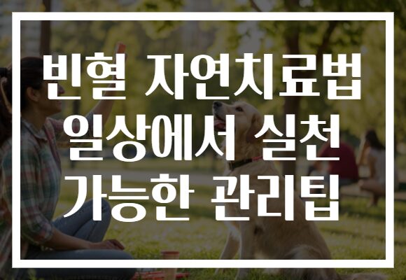 빈혈 자연치료법 일상에서 실천 가능한 관리팁