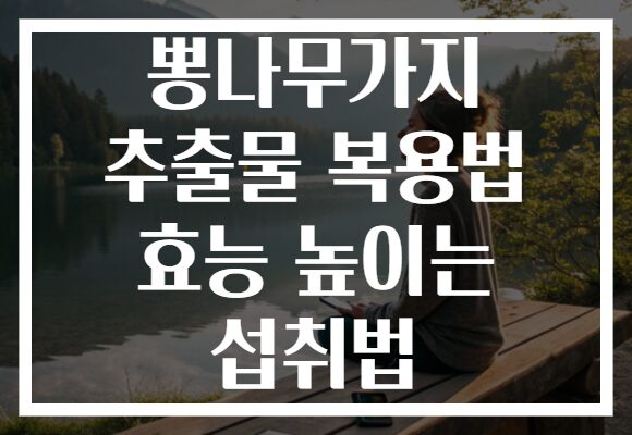 뽕나무가지 추출물 복용법 효능 높이는 섭취법