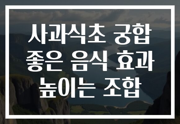 사과식초 궁합 좋은 음식 효과 높이는 조합