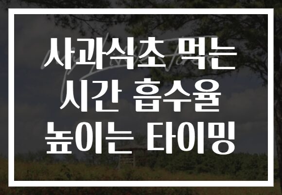 사과식초 먹는 시간 흡수율 높이는 타이밍