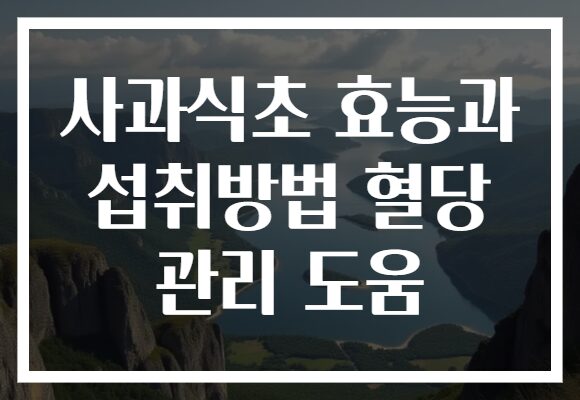 사과식초 효능과 섭취방법 혈당 관리 도움