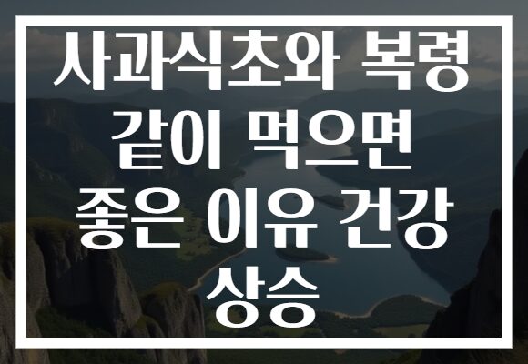 사과식초와 복령 같이 먹으면 좋은 이유 건강 상승