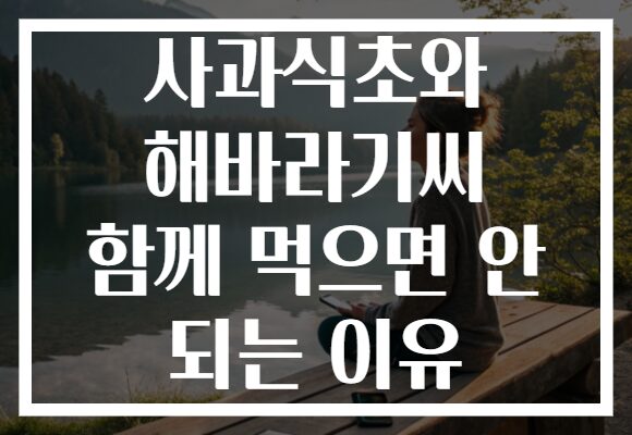 사과식초와 해바라기씨 함께 먹으면 안 되는 이유