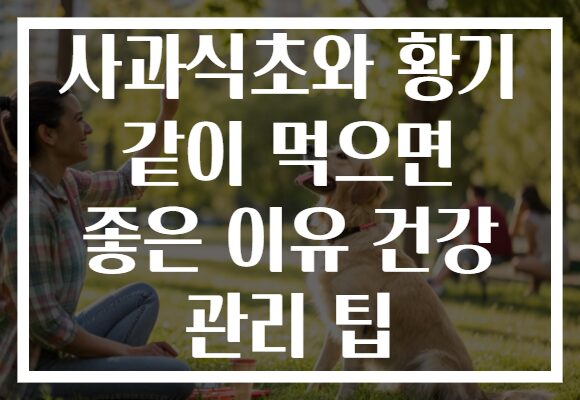사과식초와 황기 같이 먹으면 좋은 이유 건강 관리 팁