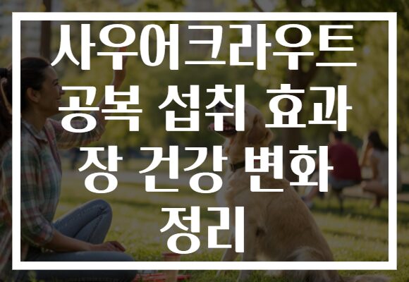 사우어크라우트 공복 섭취 효과 장 건강 변화 정리