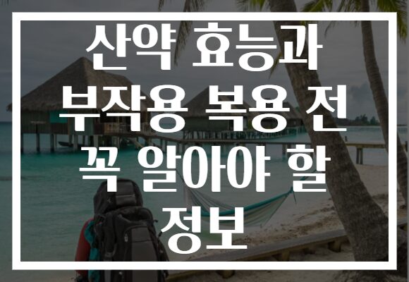 산약 효능과 부작용 복용 전 꼭 알아야 할 정보