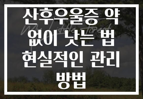 산후우울증 약 없이 낫는 법 현실적인 관리 방법