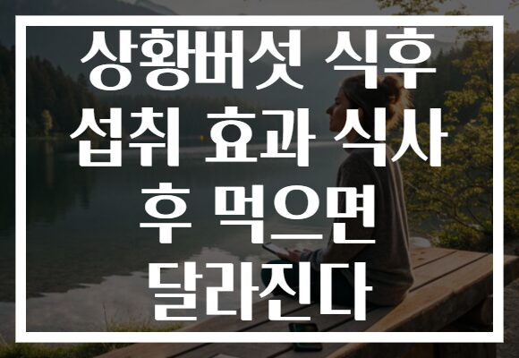 상황버섯 식후 섭취 효과 식사 후 먹으면 달라진다