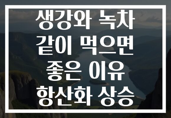 생강와 녹차 같이 먹으면 좋은 이유 항산화 상승