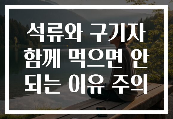 석류와 구기자 함께 먹으면 안 되는 이유 주의