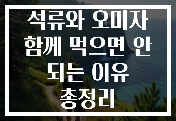 석류와 오미자 함께 먹으면 안 되는 이유 총정리