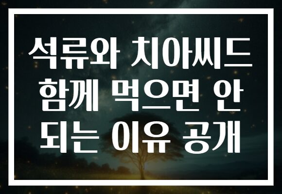 석류와 치아씨드 함께 먹으면 안 되는 이유 공개