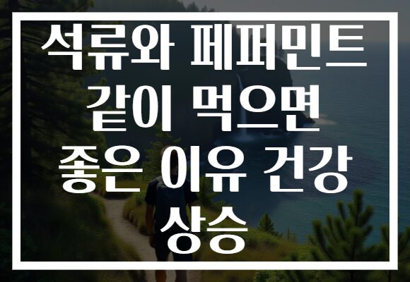 석류와 페퍼민트 같이 먹으면 좋은 이유 건강 상승