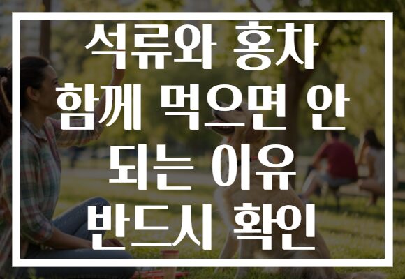 석류와 홍차 함께 먹으면 안 되는 이유 반드시 확인