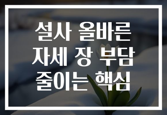 설사 올바른 자세 장 부담 줄이는 핵심