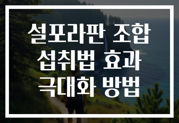 설포라판 조합 섭취법 효과 극대화 방법