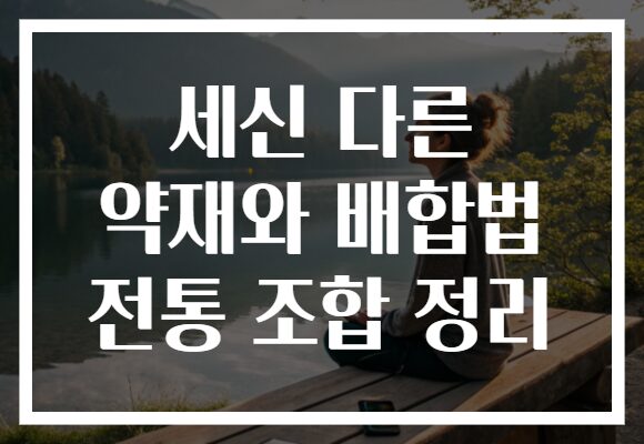 세신 다른 약재와 배합법 전통 조합 정리