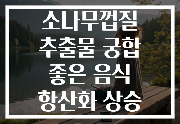 소나무껍질 추출물 궁합 좋은 음식 항산화 상승