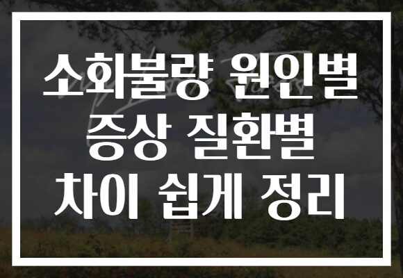소화불량 원인별 증상 질환별 차이 쉽게 정리