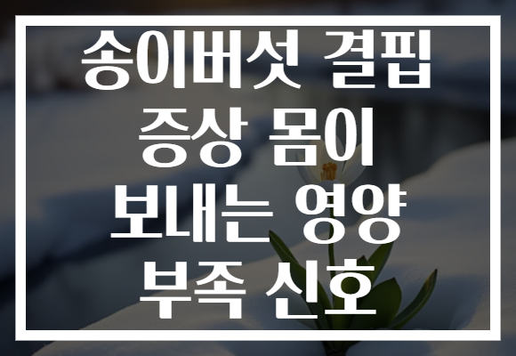 송이버섯 결핍 증상 몸이 보내는 영양 부족 신호