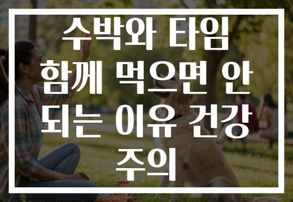 수박와 타임 함께 먹으면 안 되는 이유 건강 주의