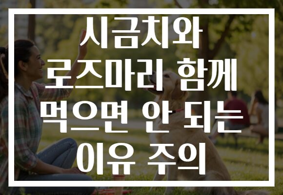 시금치와 로즈마리 함께 먹으면 안 되는 이유 주의