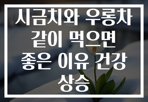 시금치와 우롱차 같이 먹으면 좋은 이유 건강 상승