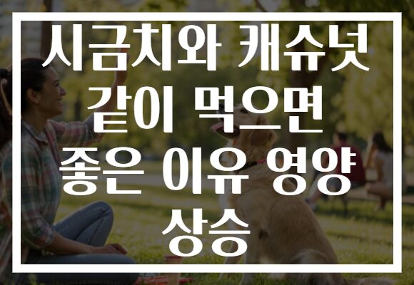 시금치와 캐슈넛 같이 먹으면 좋은 이유 영양 상승