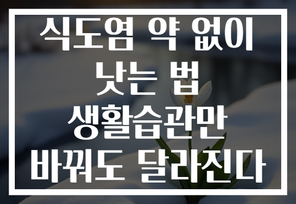 식도염 약 없이 낫는 법 생활습관만 바꿔도 달라진다