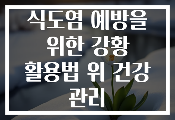 식도염 예방을 위한 강황 활용법 위 건강 관리