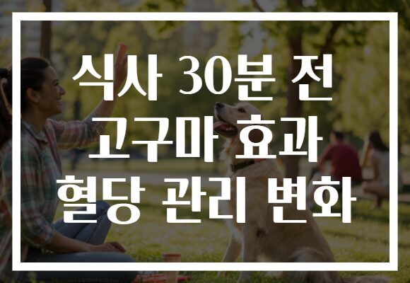 식사 30분 전 고구마 효과 혈당 관리 변화