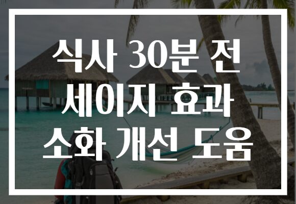 식사 30분 전 세이지 효과 소화 개선 도움