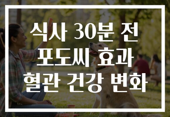 식사 30분 전 포도씨 효과 혈관 건강 변화