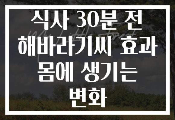 식사 30분 전 해바라기씨 효과 몸에 생기는 변화