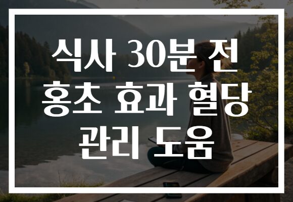 식사 30분 전 홍초 효과 혈당 관리 도움