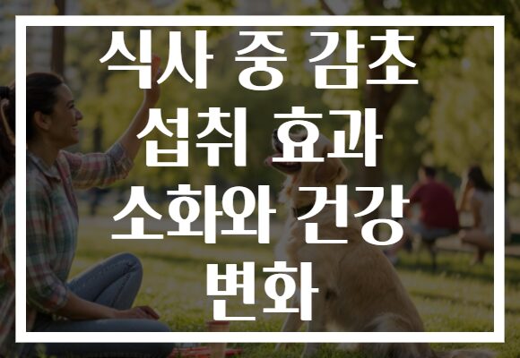 식사 중 감초 섭취 효과 소화와 건강 변화
